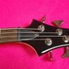 LTD (by ESP) B-50