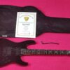 GrassRoots by ESP G-MM-60 Kirk Hammett Made in Japan guitar