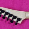 GrassRoots by ESP G-MM-60 Kirk Hammett Made in Japan guitar