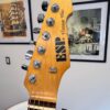 ESP Vintage Plus Guitar
