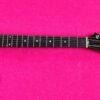 Gibson Explorer 1984 ebony fretboard EMG James Hetfield