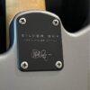 PRS Silver Sky core model guitar