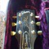 Gibson Les Paul Standard Deluxe custom