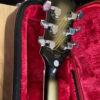Epiphone Adam Jones Berserker Les Paul Custom FS/FT