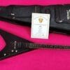 LTD (by ESP) DV-200 Dave Mustaine Signature 2005 (Korea)