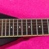 LTD (by ESP) DV-200 Dave Mustaine Signature 2005 (Korea)