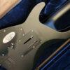Schecter Damien Platinum-6 Floyd Rose and Fitted Hardshell C