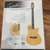 Godin ACS SA Multiac
