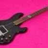 Ibanez Paul Grey PGB1 SLIPKNOT Discontinued very rare MINT!