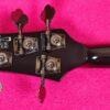 Ibanez Paul Grey PGB1 SLIPKNOT Discontinued very rare MINT!