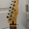 Fender Player Plus Telecaster, Pau Ferro Fretboard