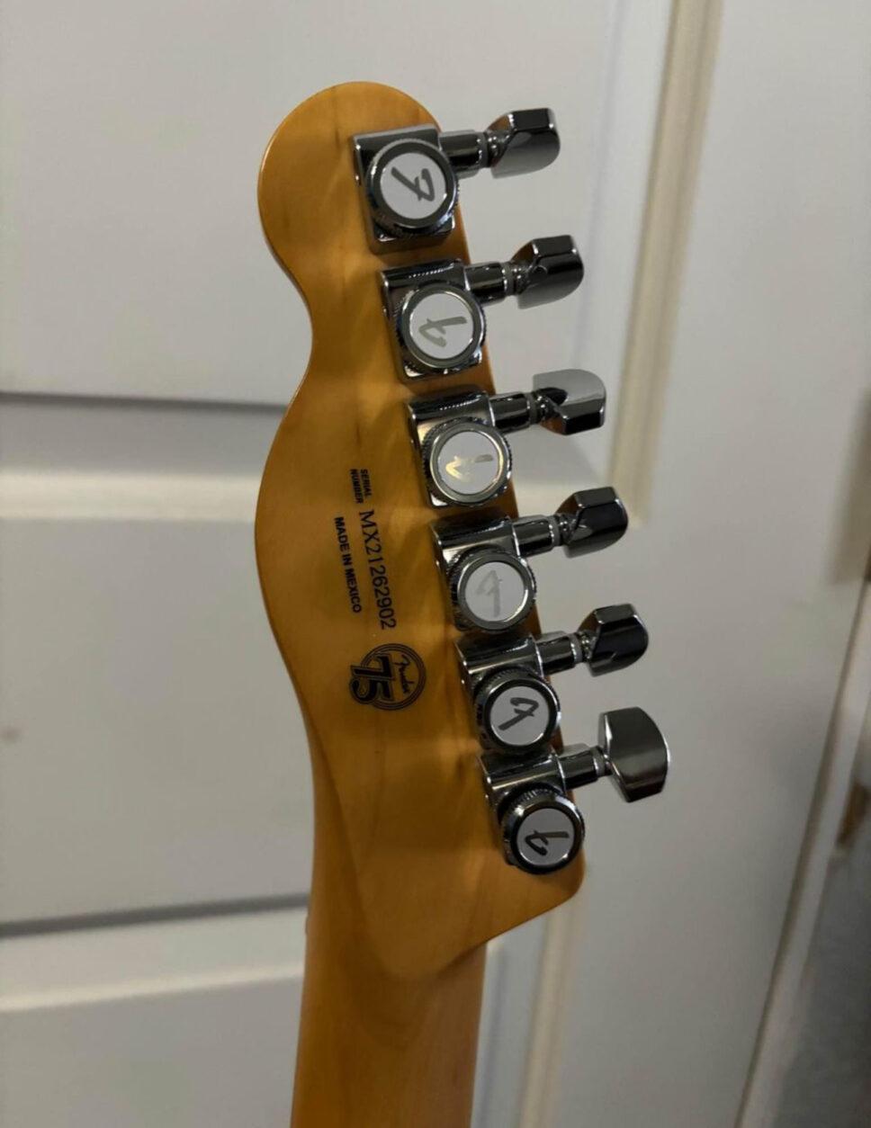 Fender Player Plus Telecaster, Pau Ferro Fretboard