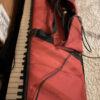 Nord Stage 2 EX 73 Piano Synth