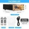 Douk Audio U10 HiFi Valve Stereo Tube Preamp/amplifier 6.35mm/3.5mm 6A2 + Free shipping