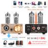 Douk Audio U10 HiFi Valve Stereo Tube Preamp/amplifier 6.35mm/3.5mm 6A2 + Free shipping