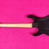 ESP Custom M2 Hammett Skull & Crossbones 1993 (PRE KH-2)