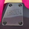 ESP Custom M2 Hammett Skull & Crossbones 1993 (PRE KH-2)