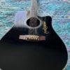 takamine legacy deluxe
