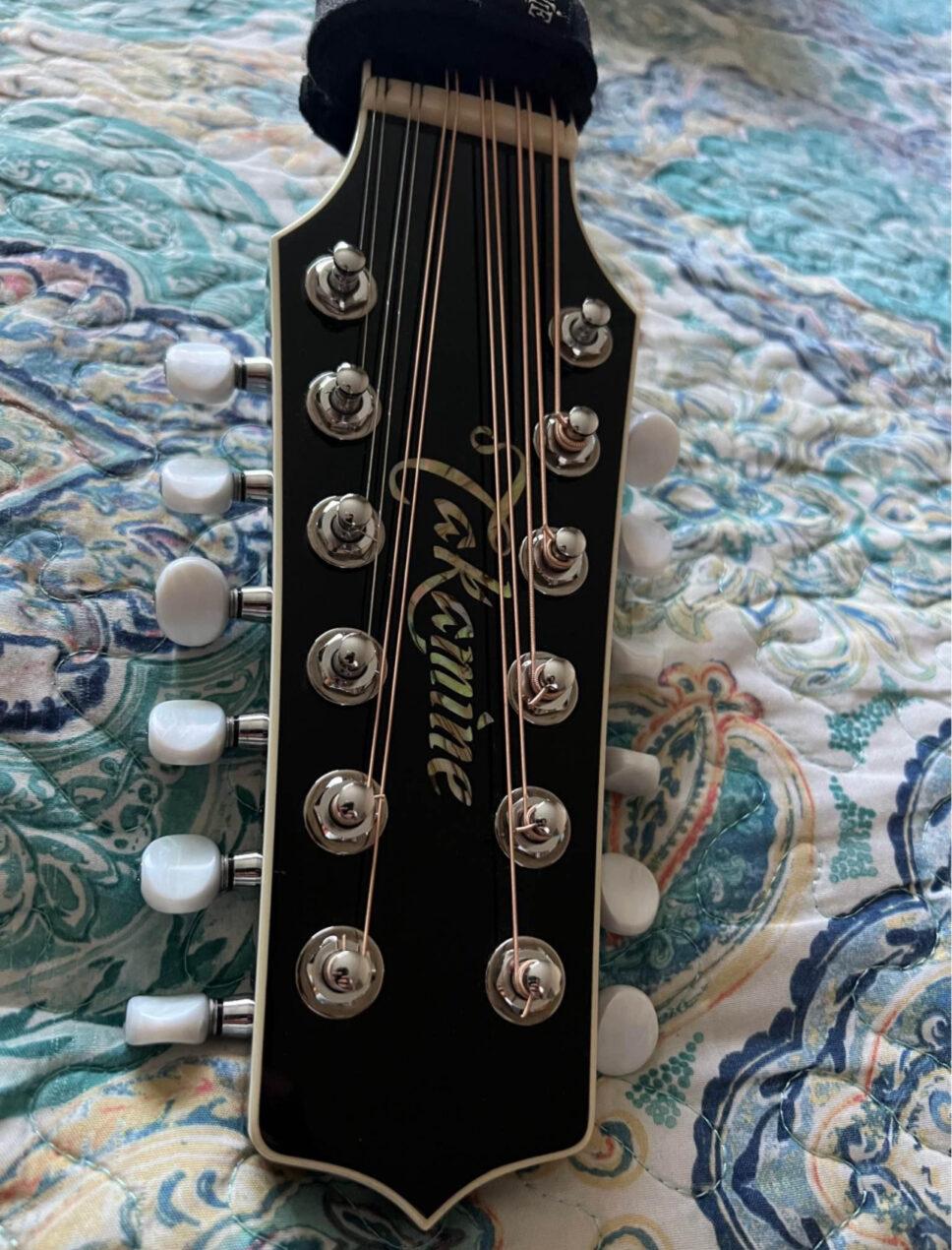 takamine legacy deluxe