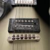 EPIPHONE ADAM JONES LES PAUL CUSTOM ART COLLECTION