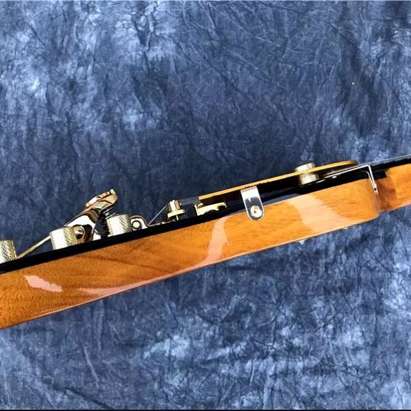 Guitare Électrique JEOEM