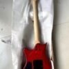 Guitare Électrique Floyd Rose Personnalisée