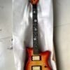 Guitare Électrique Floyd Rose Personnalisée