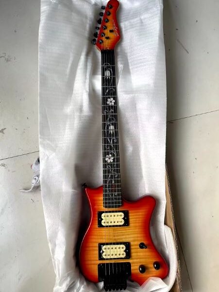 Guitare Électrique Floyd Rose Personnalisée