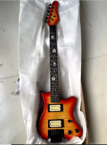 Guitare Électrique Floyd Rose Personnalisée