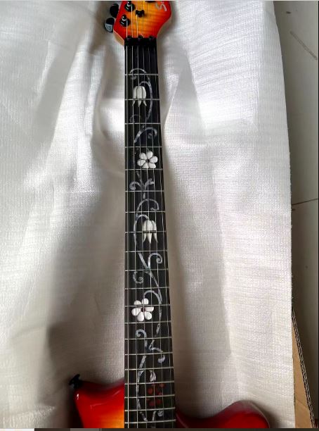 Guitare Électrique Floyd Rose Personnalisée