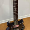 Gibson Les Paul Junior