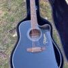 Takamine EF381