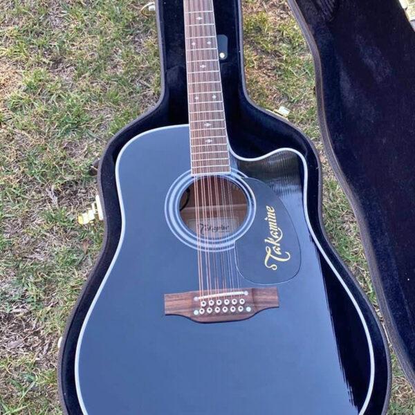 Takamine EF381