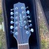 Takamine EF381