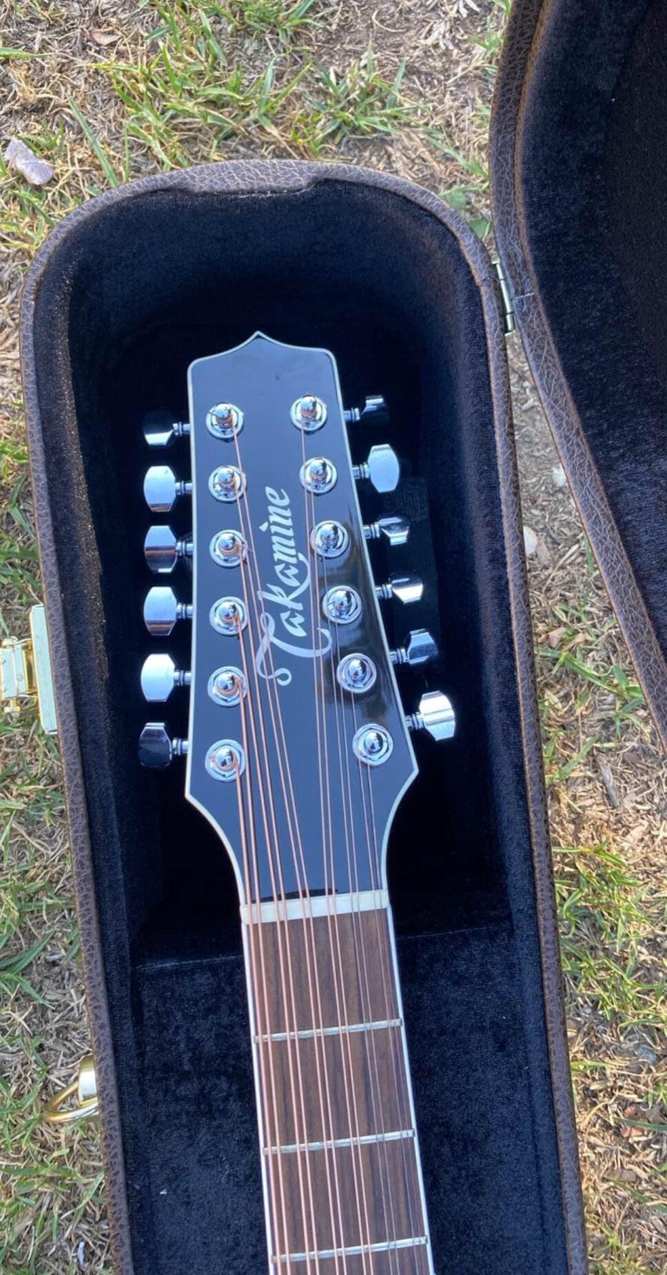 Takamine EF381