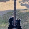 Takamine EF381