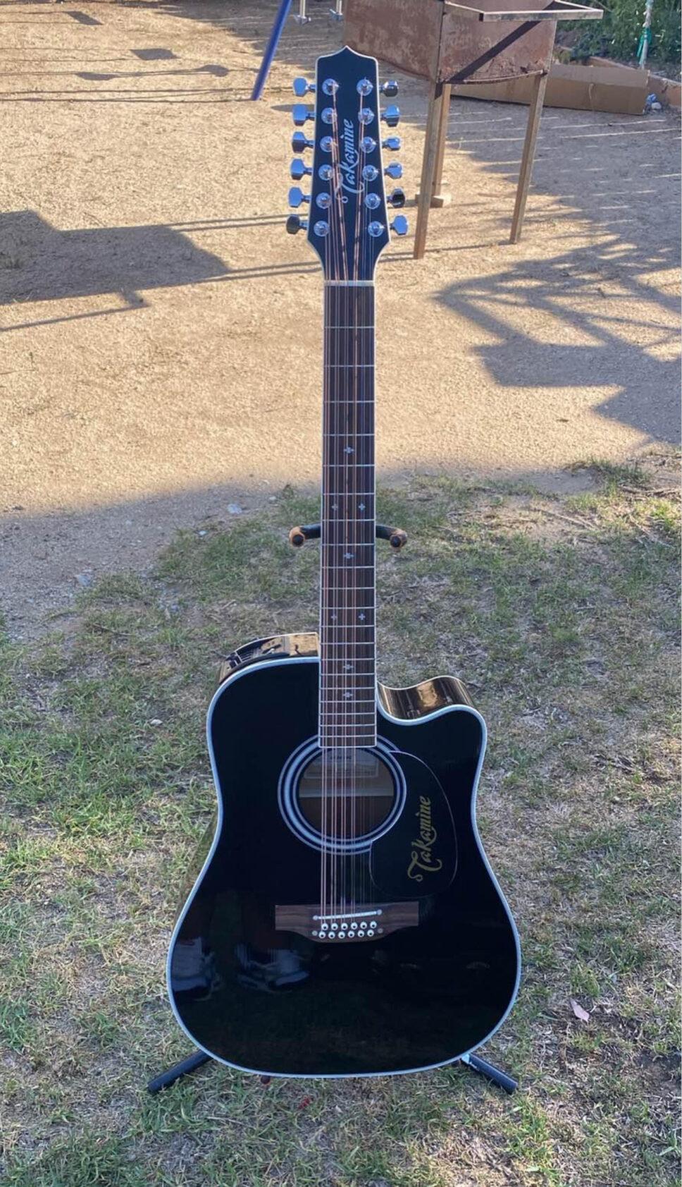 Takamine EF381