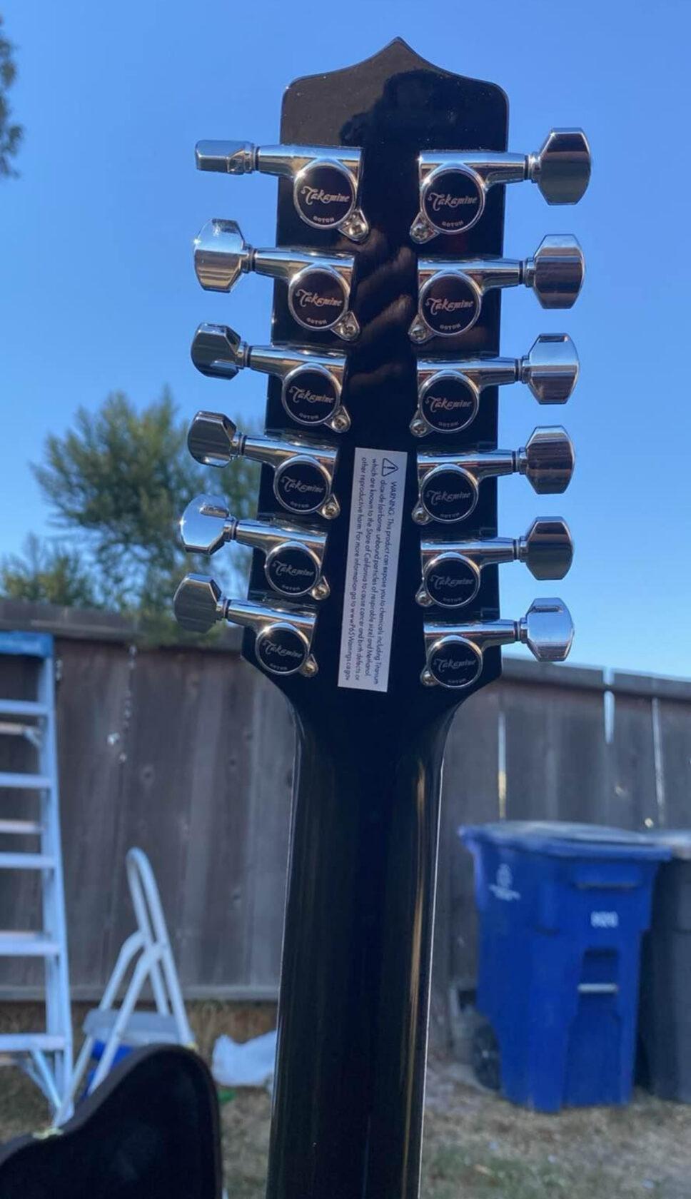Takamine EF381