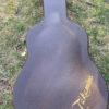 Takamine EF381