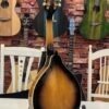 Mandoline électrique 8 cordes en bois massif