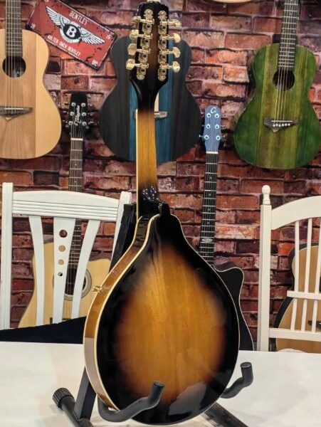 Mandoline électrique 8 cordes en bois massif