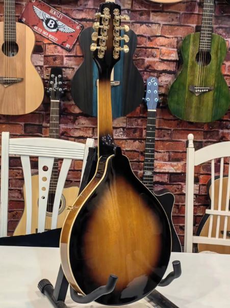 Mandoline électrique 8 cordes en bois massif