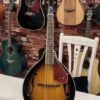 Mandoline électrique 8 cordes en bois massif