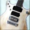 BtMalcolm Young The Beast Double Jet Relic