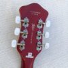 Violon HI-459-PE VILLE