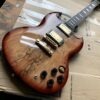Guitare Électrique de Haute Qualité
