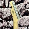 Guitare Électrique TL Flower Top