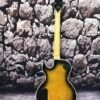 Guitare Électrique Wylde Audio Totem