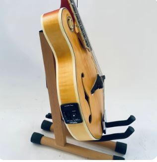 Mandoline Électrique