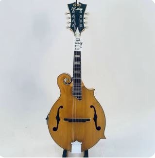 Mandoline Électrique